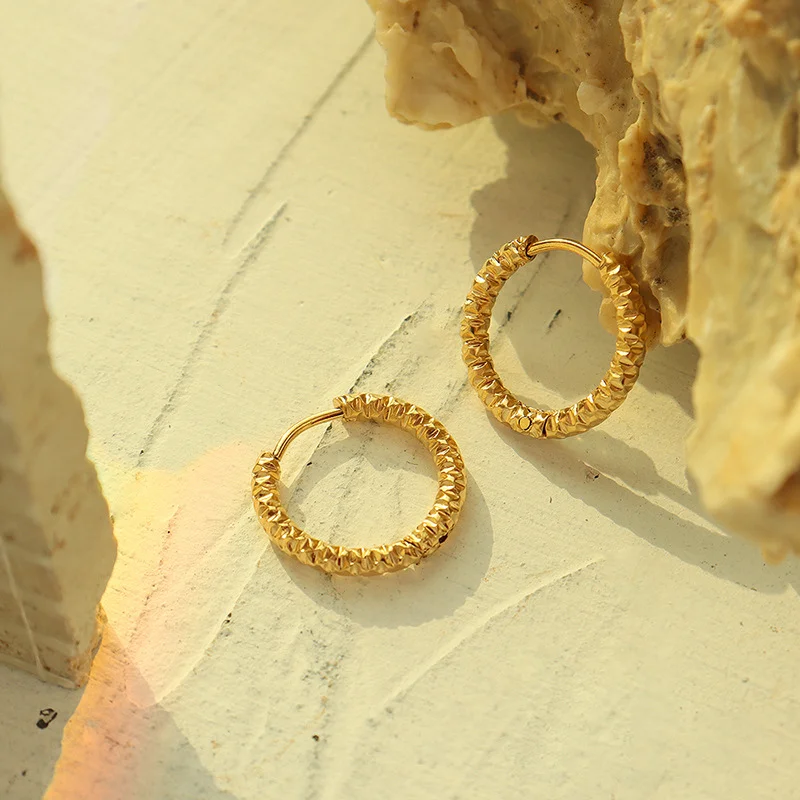 French Ins Style Titanium Steel 18K Gold Circle Earrings