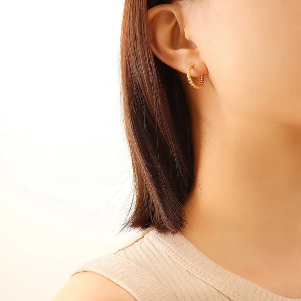 French Ins Style Titanium Steel 18K Gold Circle Earrings