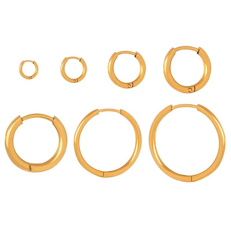 Gold-Plated Titanium Steel Earrings, Minimalist Hoop Design, Light Luxury for Women